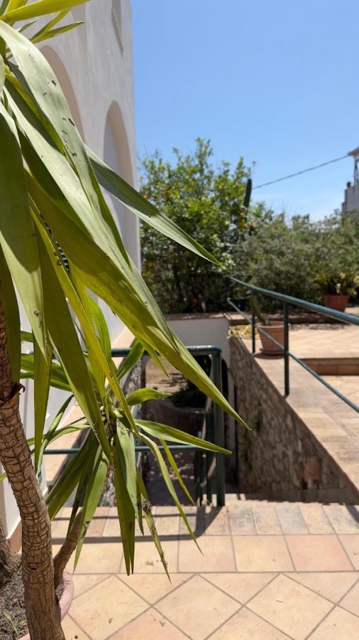 Villa La Zagara By Caprirooms Esterno foto